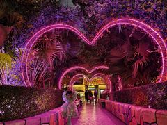 -厦门方特梦幻王国