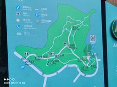 -上海佘山国家森林公园天马山园