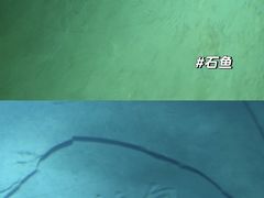 -白鹤梁水下博物馆