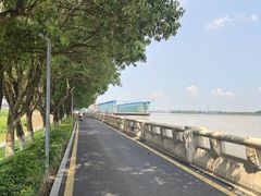 -长洲岛