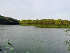 -昆山城市生态森林公园