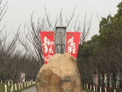 -高东镇樱花园