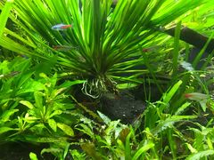 -上海海洋水族馆