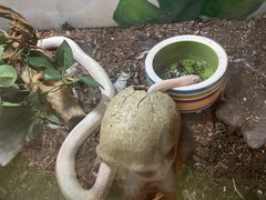 -藦茜花园宠物主题亲子互动体验馆(国顺东路店)