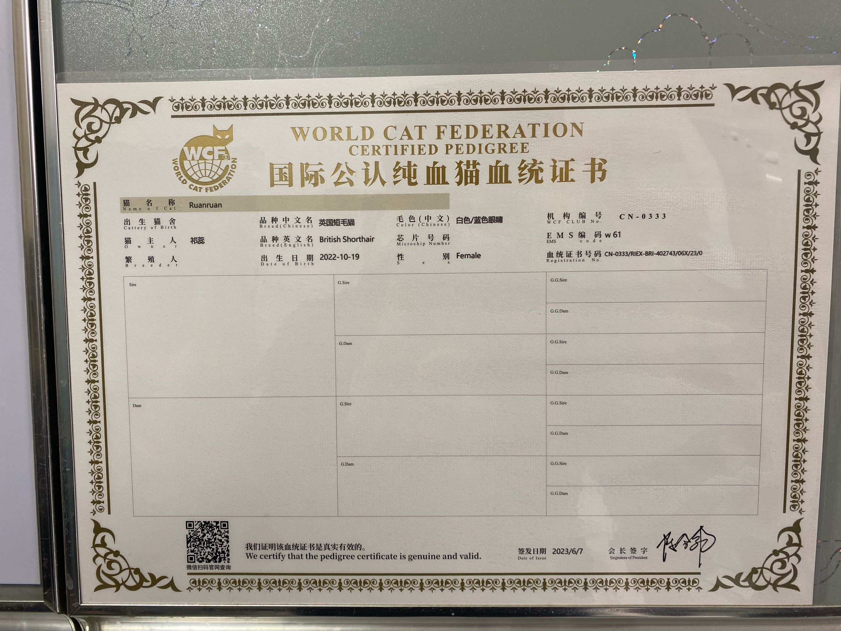 宠物美容师工资这么高的吗