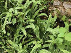 -成都市活水公园