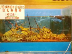 -真浪花园海鲜餐馆