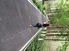 滨湖湿地公园-合肥滨湖国家森林公园