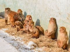 -沈阳森林动物园