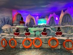 -帝企鹅自助餐厅•儿童岛•真企鹅(长隆企鹅酒店)