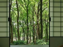-中国茶叶博物馆(双峰馆区)