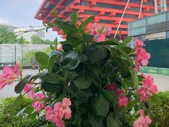 -中华艺术宫(上海美术馆)