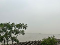 -上海滨江森林公园