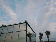 -Cafe Aewol Monsant