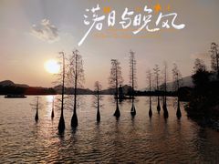 -星湖旅游景区七星岩