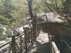 -青峰峡国家森林公园