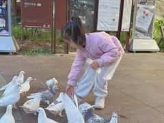 -中粮·祥云小镇