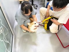 -谐和益家动物医院·免疫绝育·血液透析·宠保定点医院(高新伊藤分院)