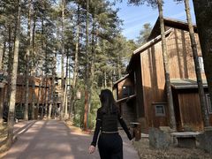 -洛阳白云山景区