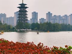 -洋湖国家湿地公园