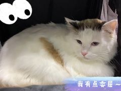 -宠颐生动物医院·小陆分院