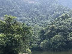 -青城山