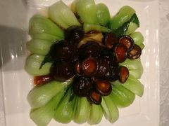 -颂福楼·南京菜(定淮门店)