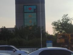 -山东加华制药有限公司