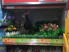 -银座商城(玉函店)