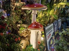 -野菌皇海景野生菌火锅(滨海大道店)