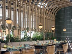 -原味四季椰子鸡(平湖天虹店)