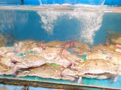 -良运大酒店餐厅