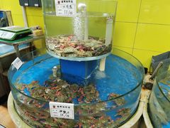 -荣祥海鲜·烟台菜(胜利路二部)