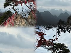 -大连天门山国家森林公园