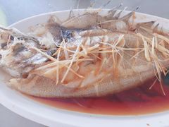 -晨汐石苑·清真菜农家院
