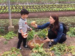 -上海多利农业发展有限公司