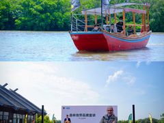 -大湾区中央湿地公园