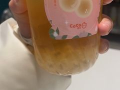 -CoCo都可(金狮店)