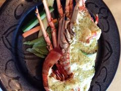 -活伊势龙虾料理 中纳言(千日前味乐馆店)