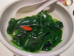 泉水豆苗-广舟(千禧店)