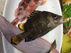 -开鑫鱼厂·宁波海鲜(前程智慧城店)