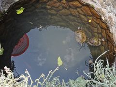 -南靖田螺坑土楼群景区