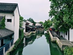 -鲁镇