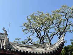 -龙华寺