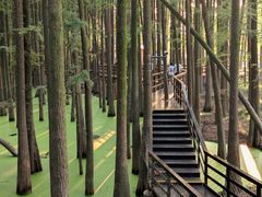 -青山湖景区