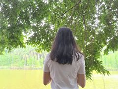 -三水森林公园