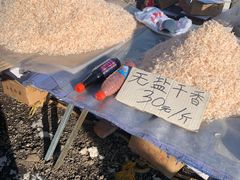 -蒲河大集