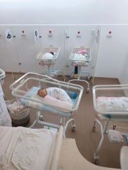 -海豚湾高端月子会所(黄浦店)