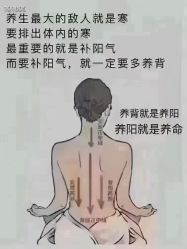 -美愈美肤MEIYU SKIN