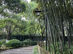 -乌镇东栅景区